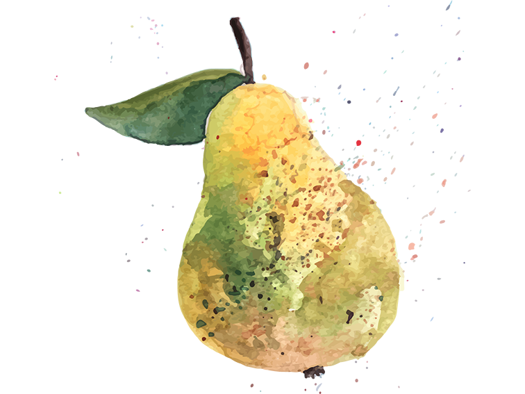 Obsthof Cordes - Fruchtfoto Williams Christ