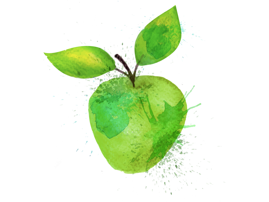 Obsthof Cordes - Fruchtfoto Braeburn